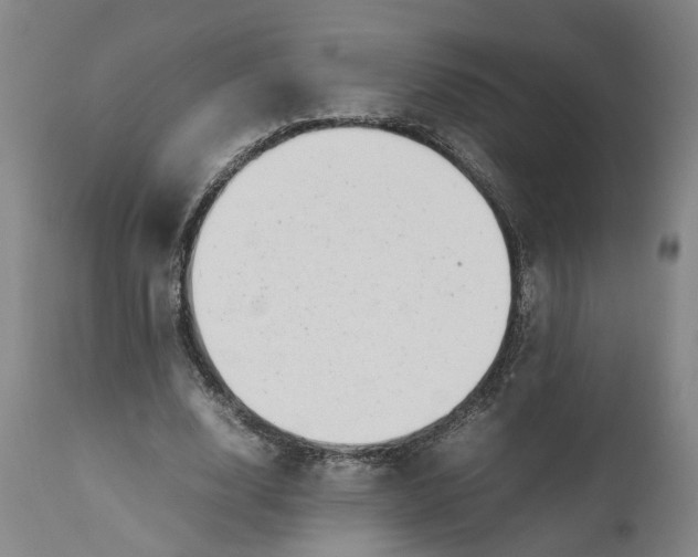 X0000111190632200907151350