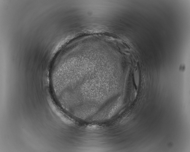 X0000111190634200907151350