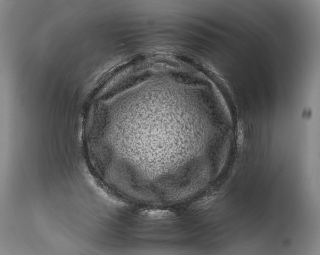 X0000111190637200907151350