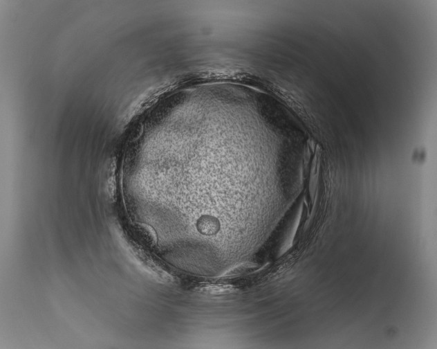 X0000111190642200907151351