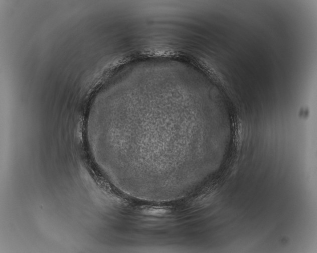 X0000111190643200907151351