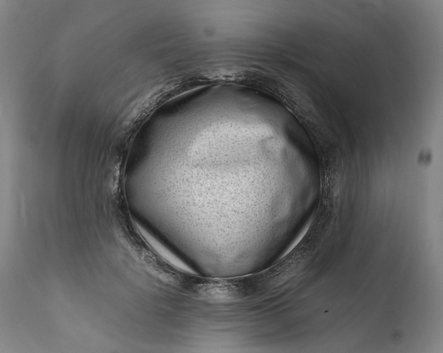 X0000111190652200907151351