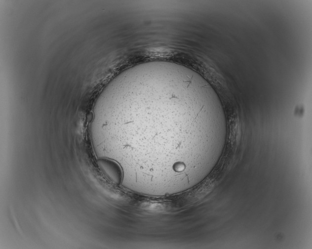 X0000111190655200907151351