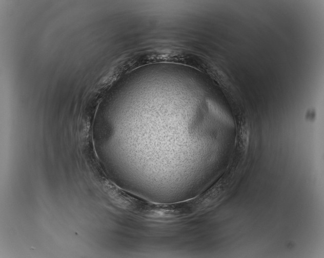 X0000111190657200907151351