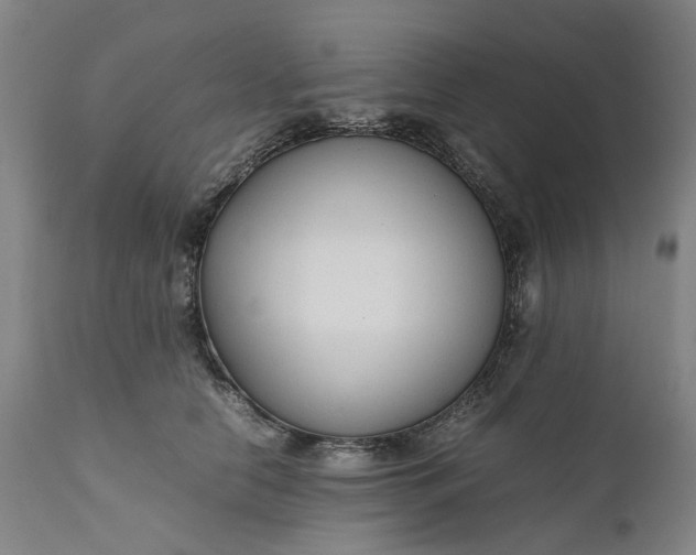 X0000111190658200907151351