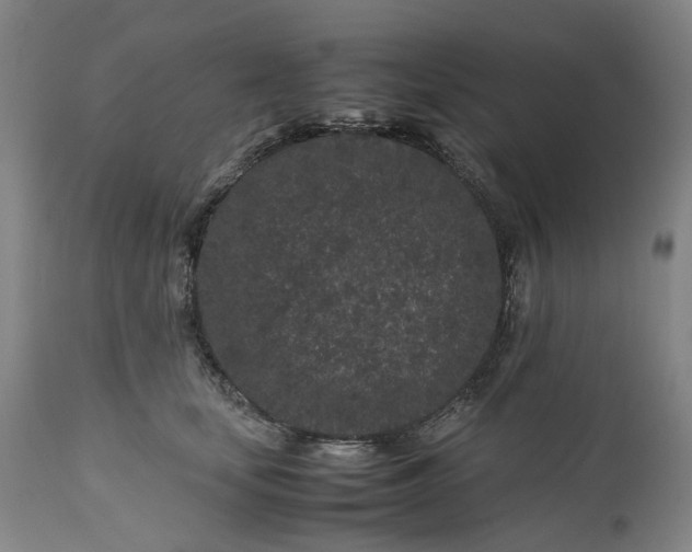 X0000111190659200907151351