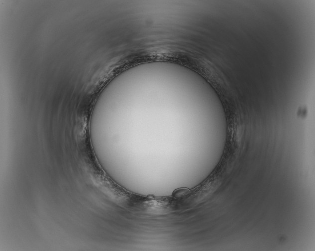 X0000111190660200907151351