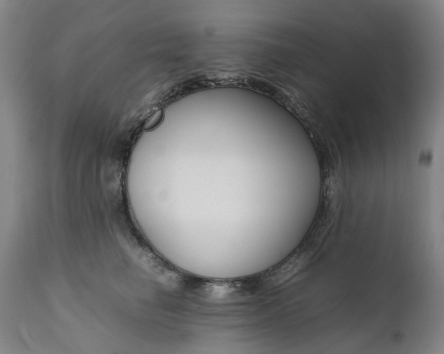 X0000111190662200907151351