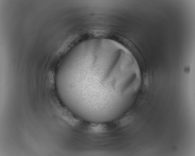 X0000111190667200907151351