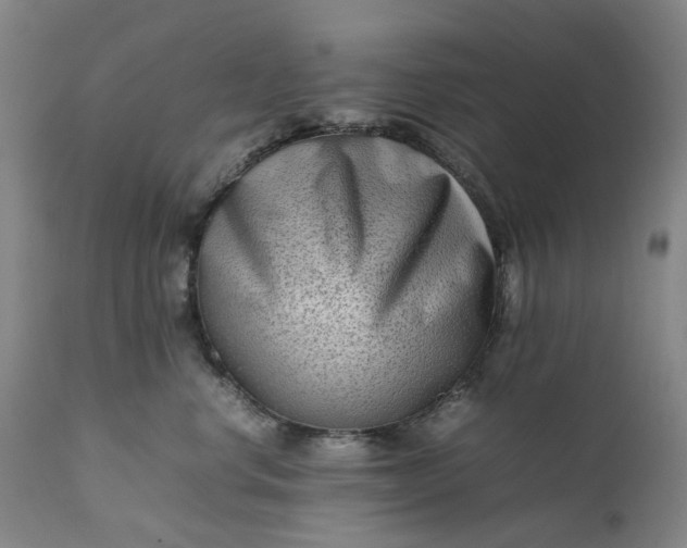 X0000111190668200907151351