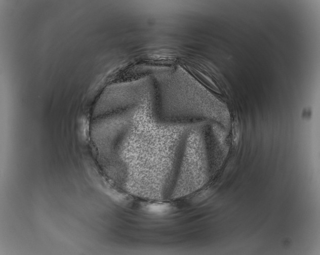 X0000111190669200907151351