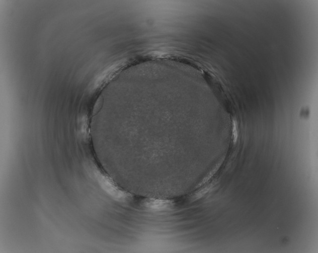 X0000111190670200907151351