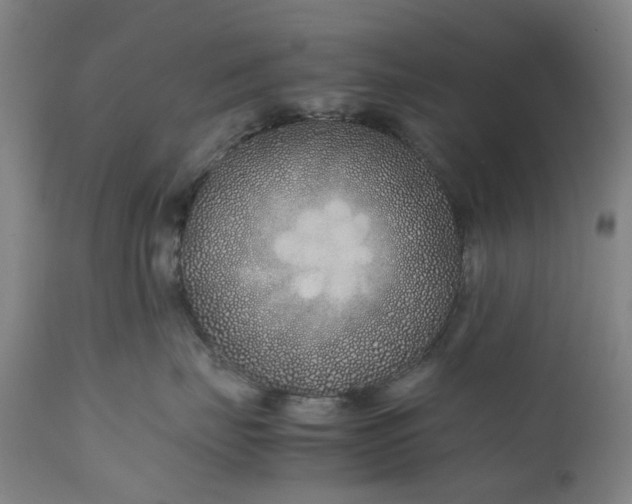 X0000111190671200907151351