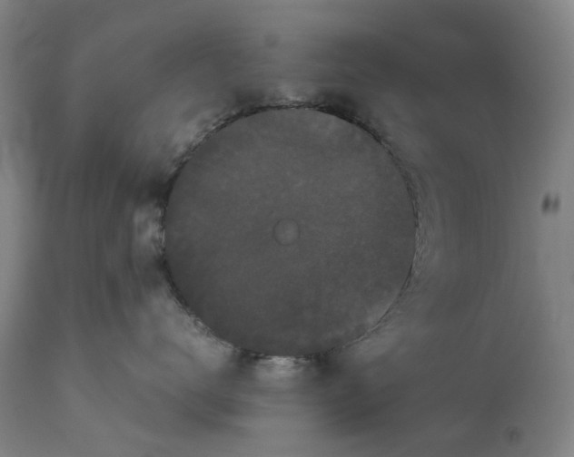 X0000111190672200907151351