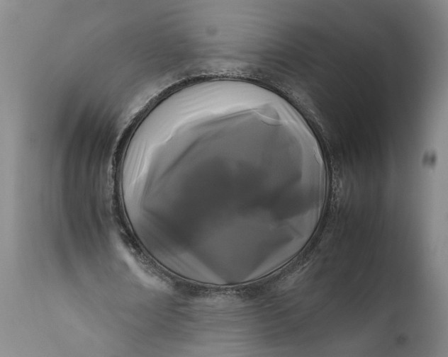 X0000111190674200907151350