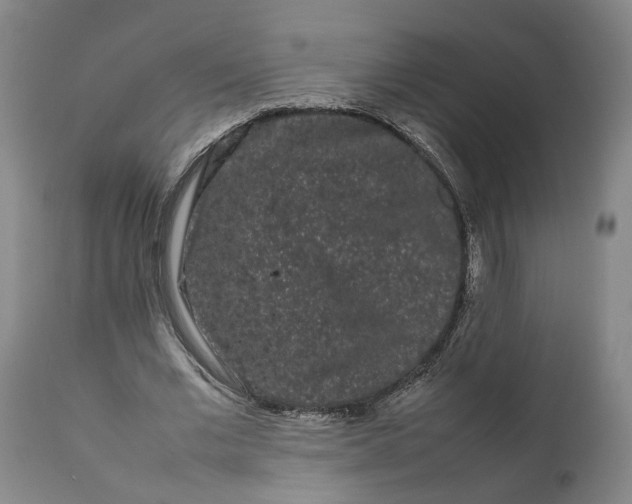 X0000111190677200907151350