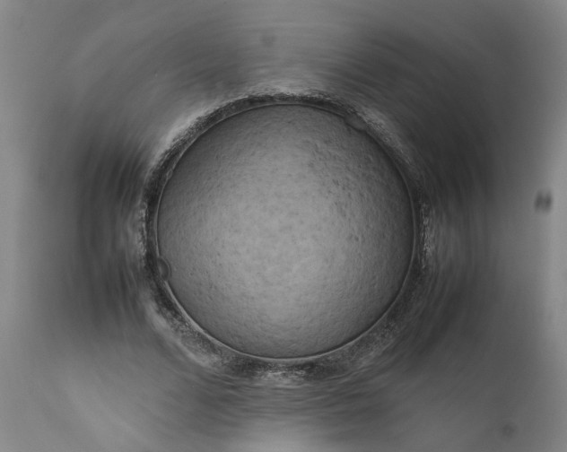 X0000111190680200907151350