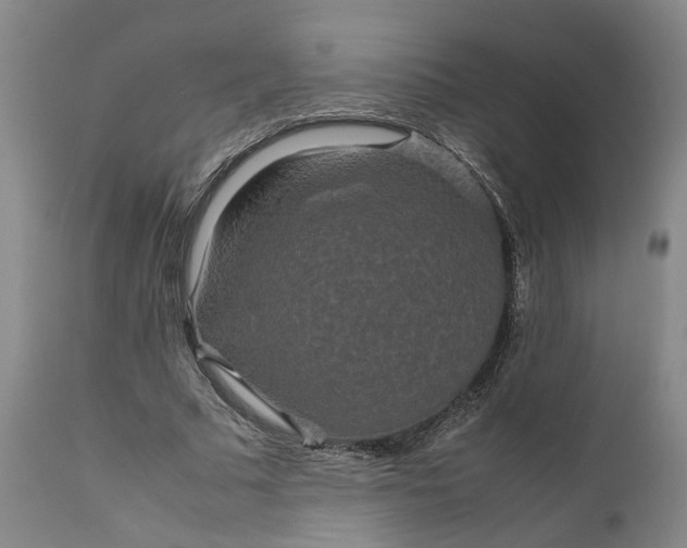 X0000111190681200907151350