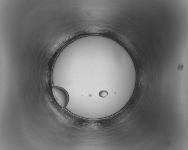 X0000111190683200907151350