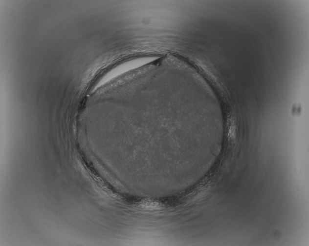 X0000111190685200907151350