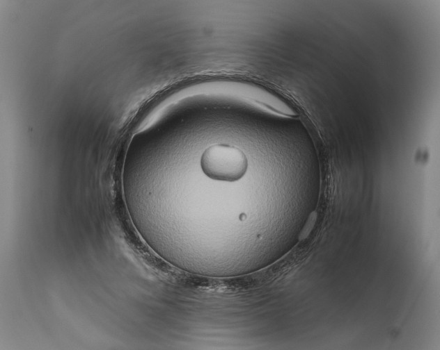 X0000111190688200907151350