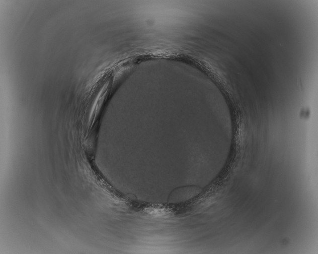 X0000111190689200907151350