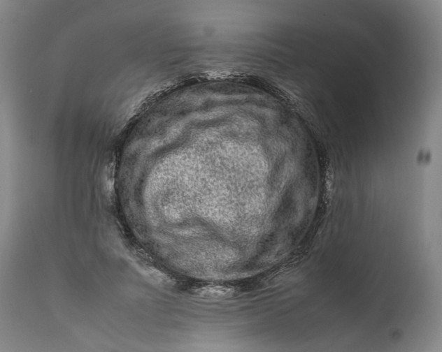 X0000111190691200907151350