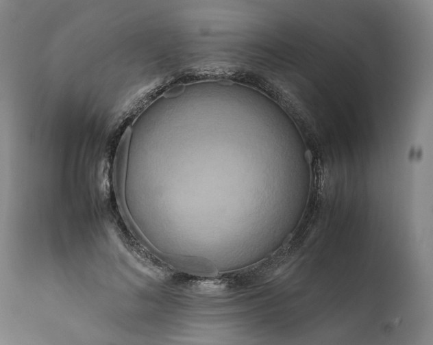 X0000111190692200907151350