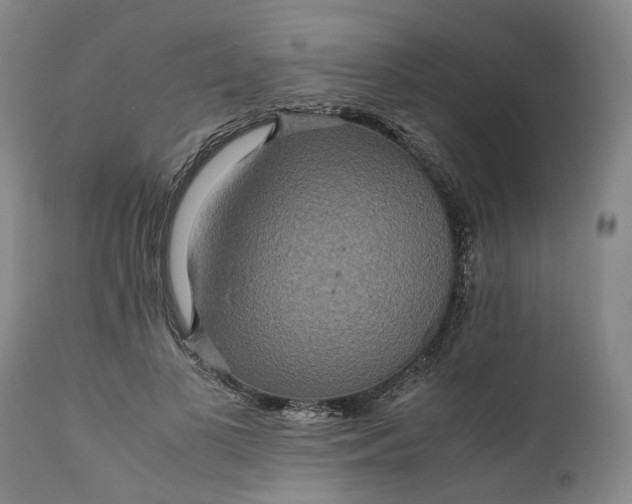 X0000111190693200907151350