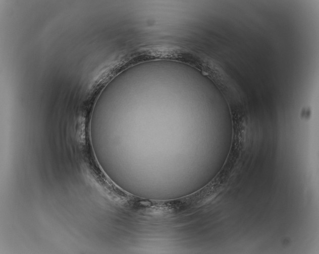 X0000111190696200907151350