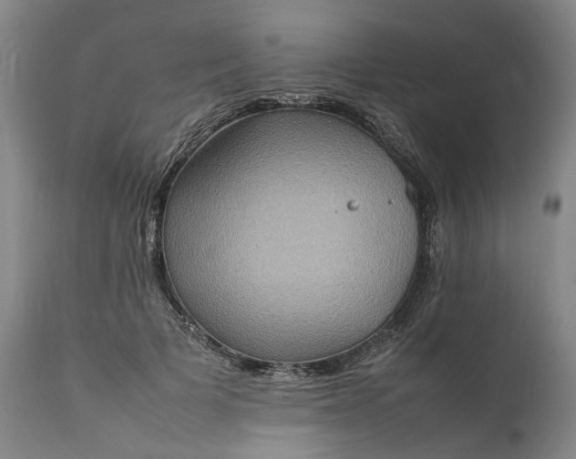 X0000111190697200907151350