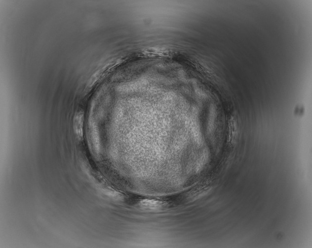 X0000111190699200907151350