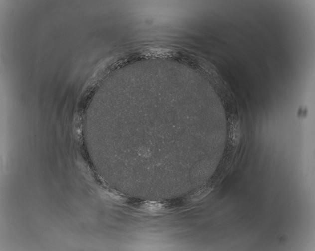 X0000111190701200907151350