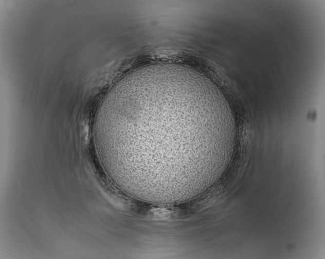 X0000111190703200907151350