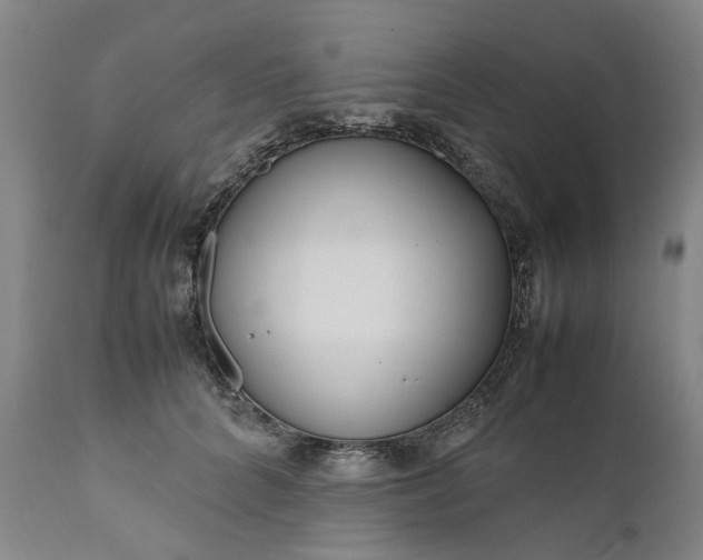 X0000111190704200907151350