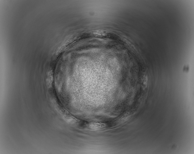 X0000111190707200907151350