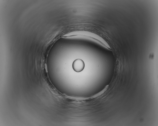 X0000111190712200907151350