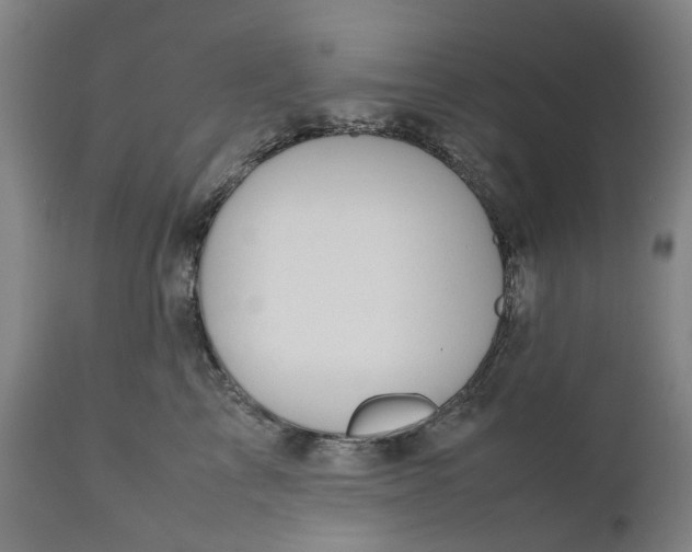 X0000111190713200907151350