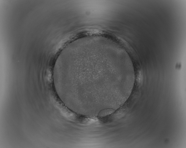 X0000111190715200907151350