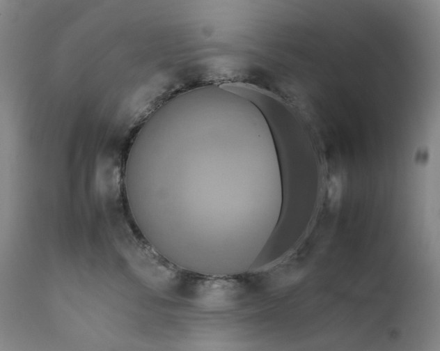 X0000111190716200907151350