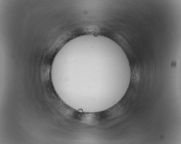 X0000111190717200907151349