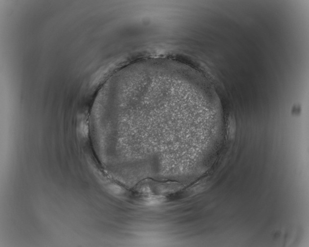 X0000111190719200907151349