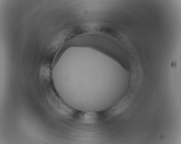 X0000111190720200907151349