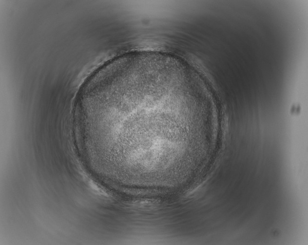 X0000111190721200907151348