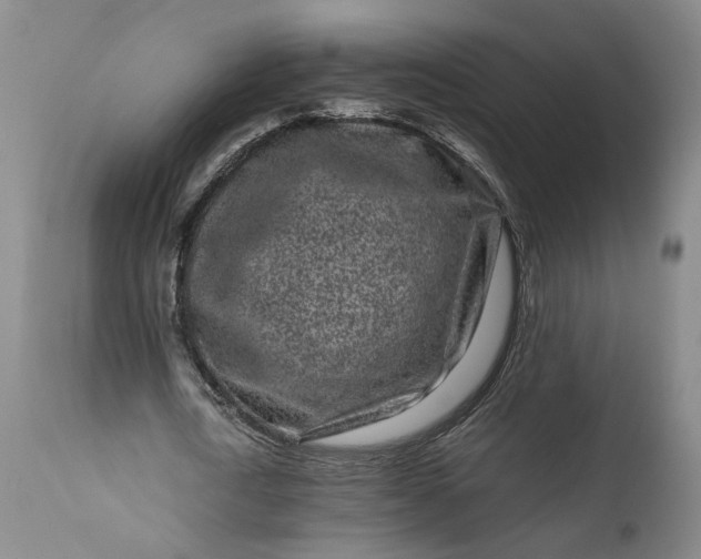 X0000111190722200907151348