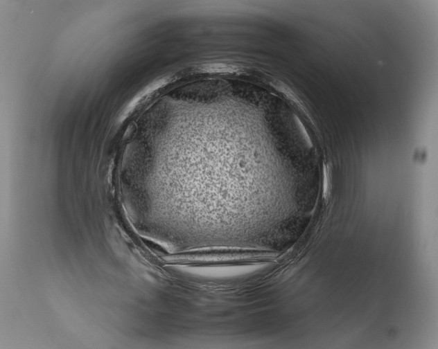 X0000111190723200907151348