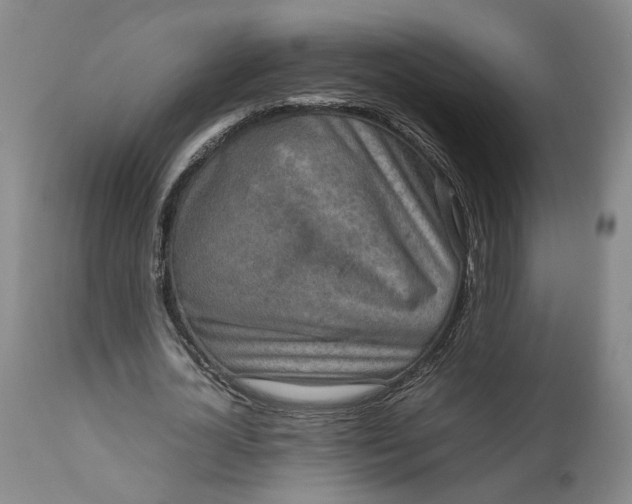 X0000111190724200907151349