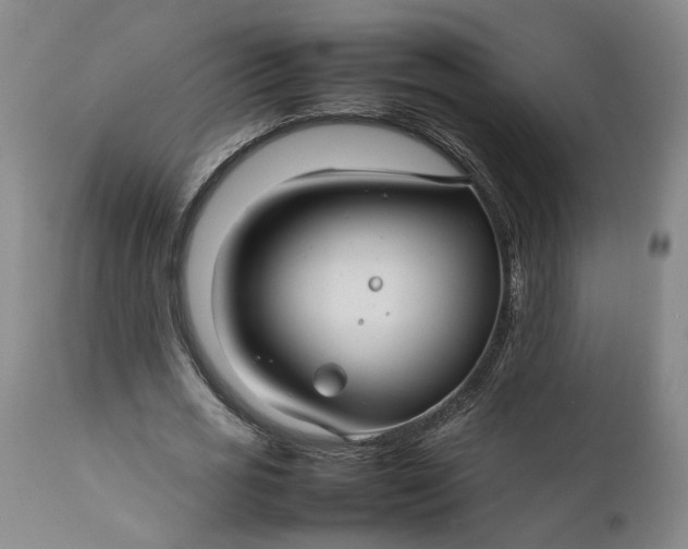 X0000111190725200907151349