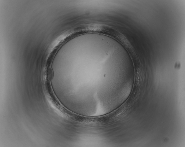 X0000111190726200907151349