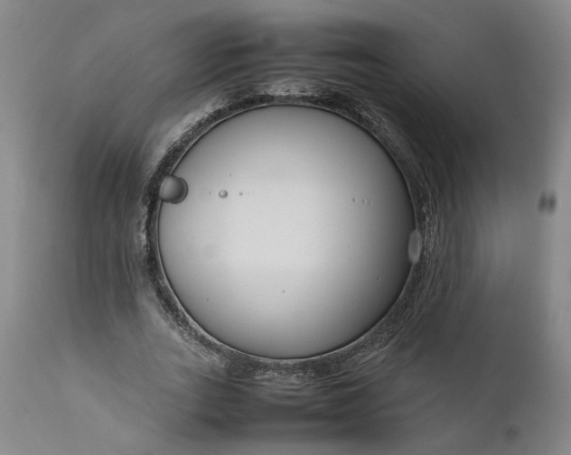 X0000111190727200907151349